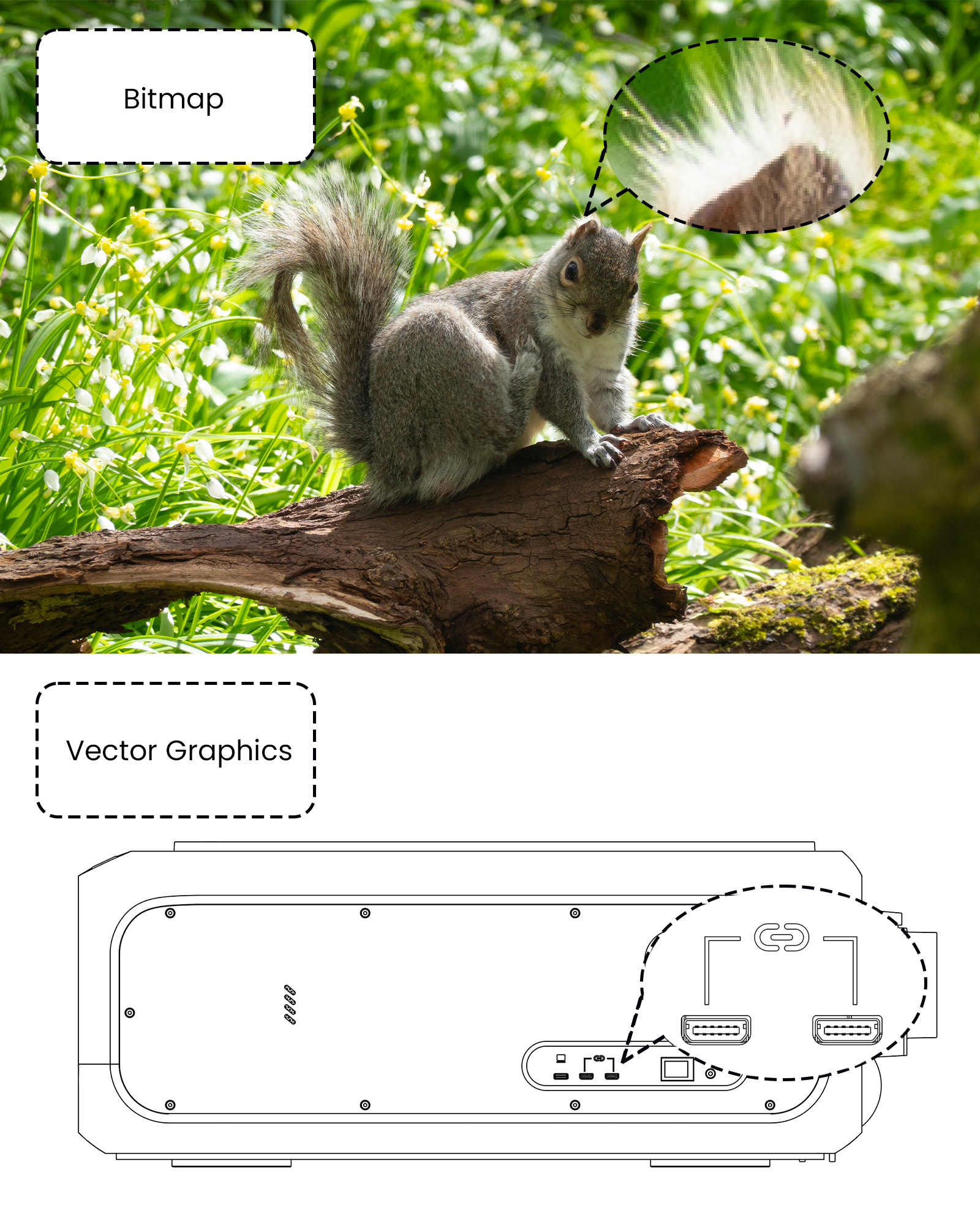 Figure 1: Bitmap vs vector when zoomed in